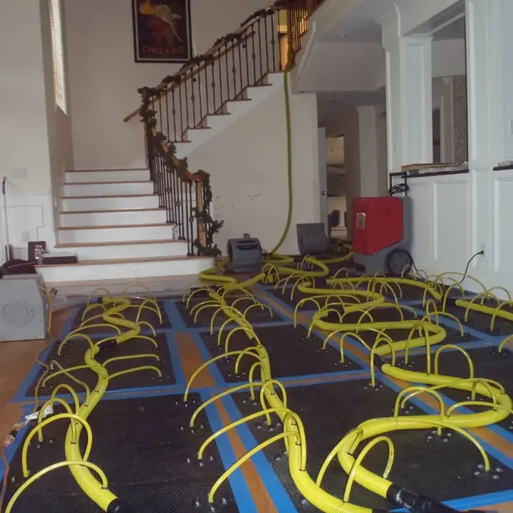 Drying mats and hoses covering a wet hardwood floor beside a staircase