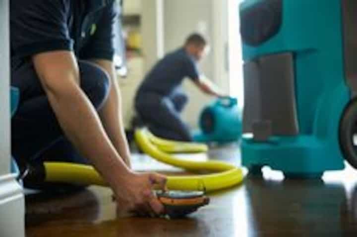 Professional Water Damage Services in Auburn Rapid Emergency Response
